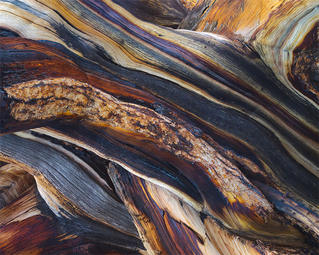 Vinilos colores madera de pino para muebles o armarios